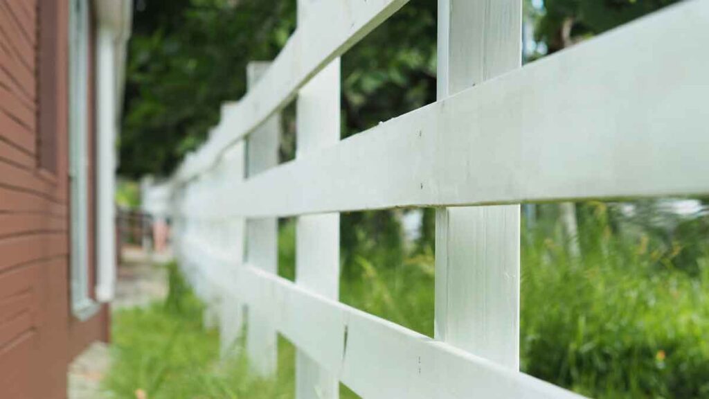 Painted Fence